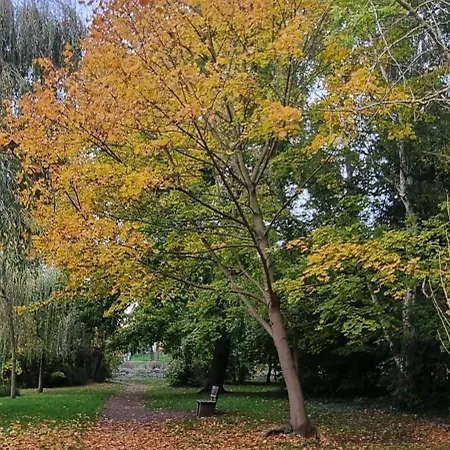 3raumwohnung Mit Balkon In Leipzig Nord Bmw, Amazon, Messe & Porsche Apartman *